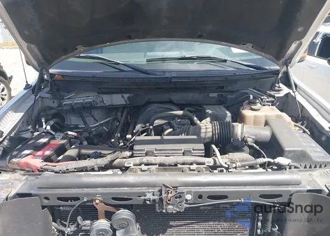 2010 Ford F-150 Stx/Xl/Xlt z USA, uszkodzony, nr VIN 1FTEX1E85AFC54324